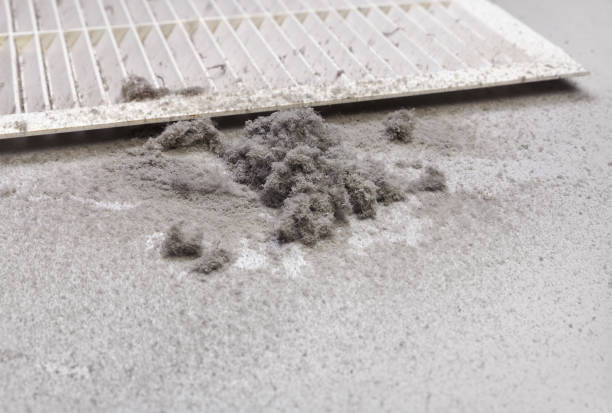 Morrice, MI Airduct Cleaning Company