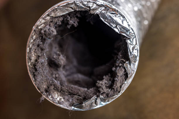 Best Home Air Vent Cleaning  in Morrice, MI