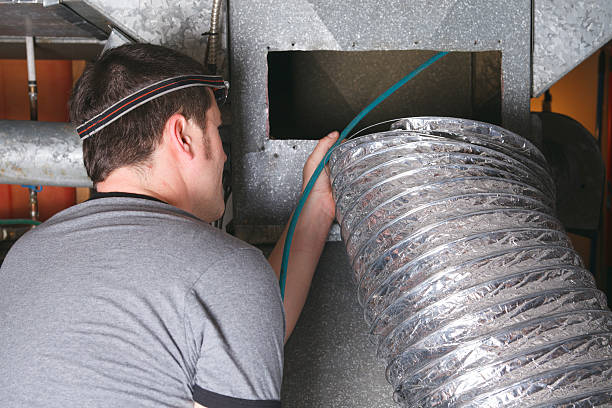 Best Ductwork Cleaning Services  in Morrice, MI